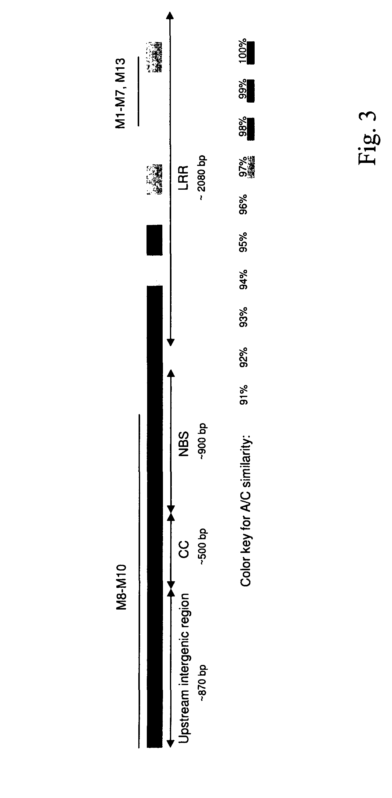 Compositions and methods for identifying genetic sequences with toxin resistance in plants
