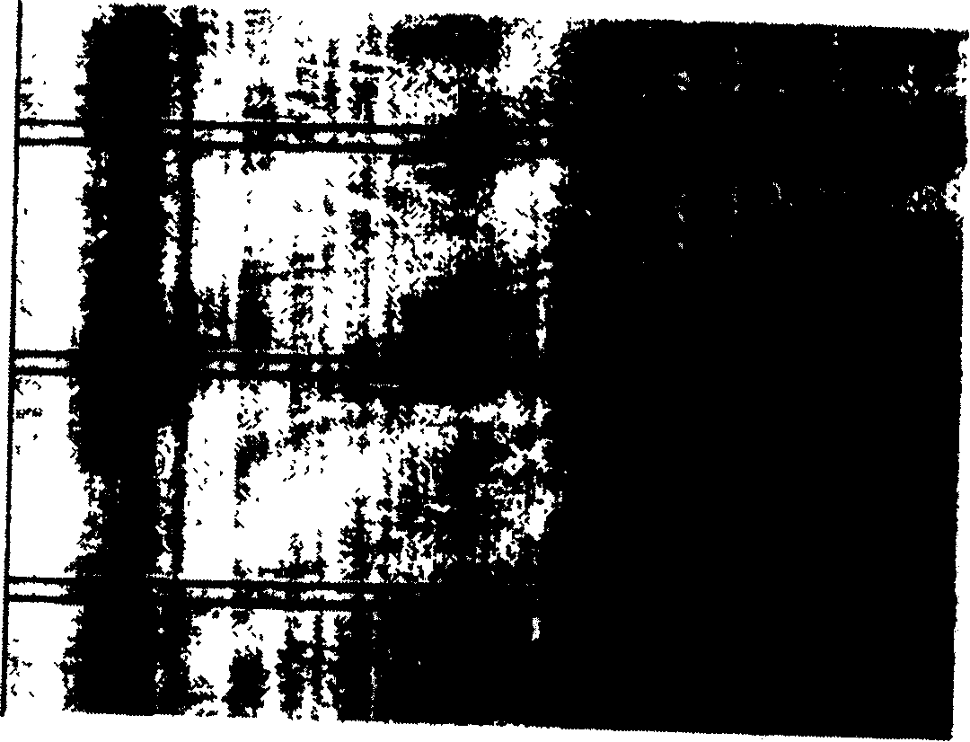 Silver ion use method for erbium waveguide amplifier making process