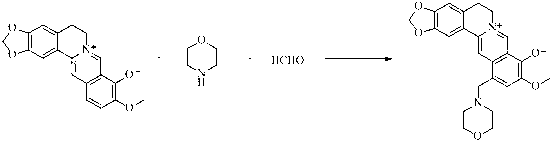 Berberrubine 12-site derivatives as well as preparation method and applications thereof