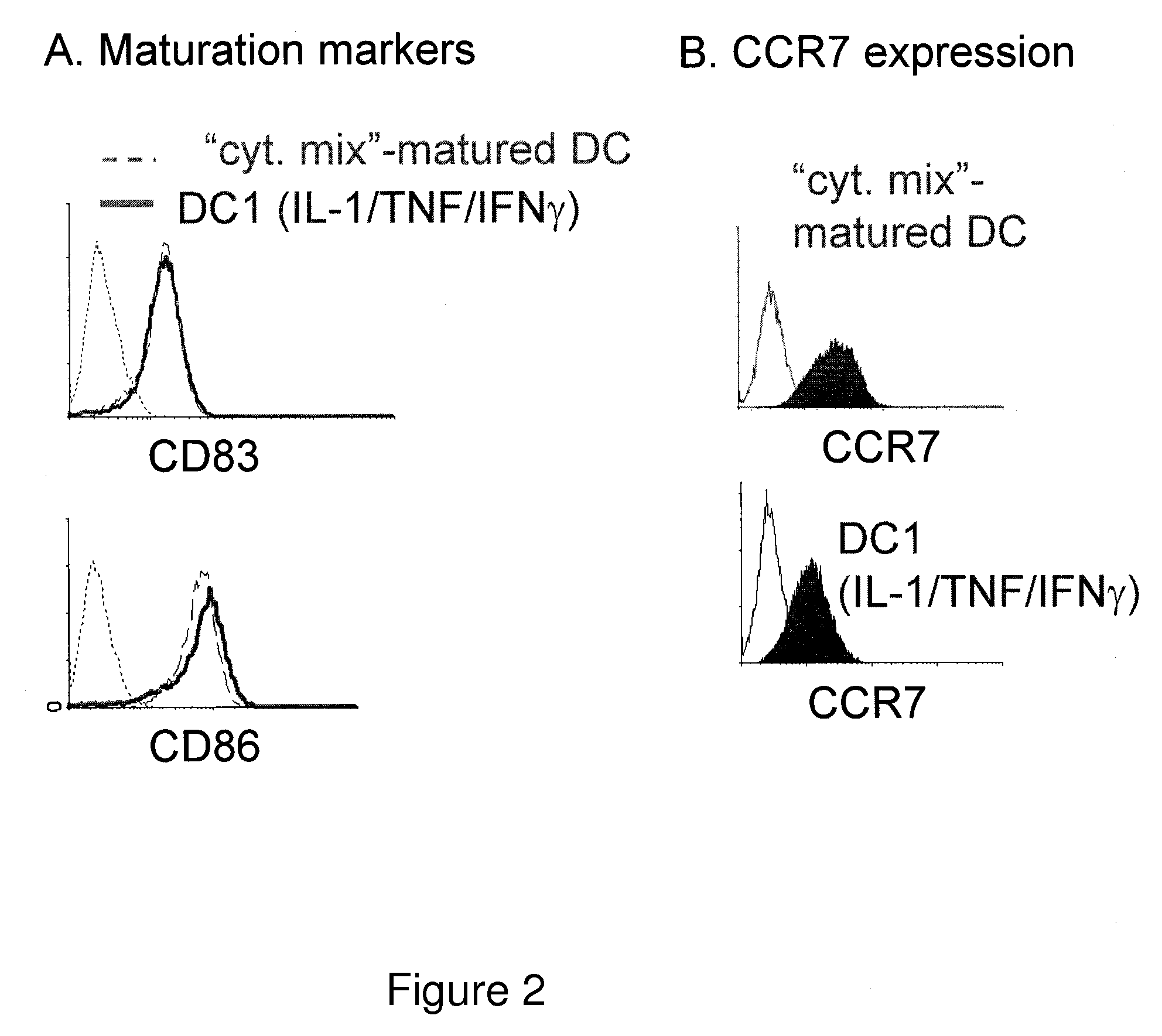 Mature type-1 polarized dendritic cells with enhanced IL-12 production and methods of serum-free production and use