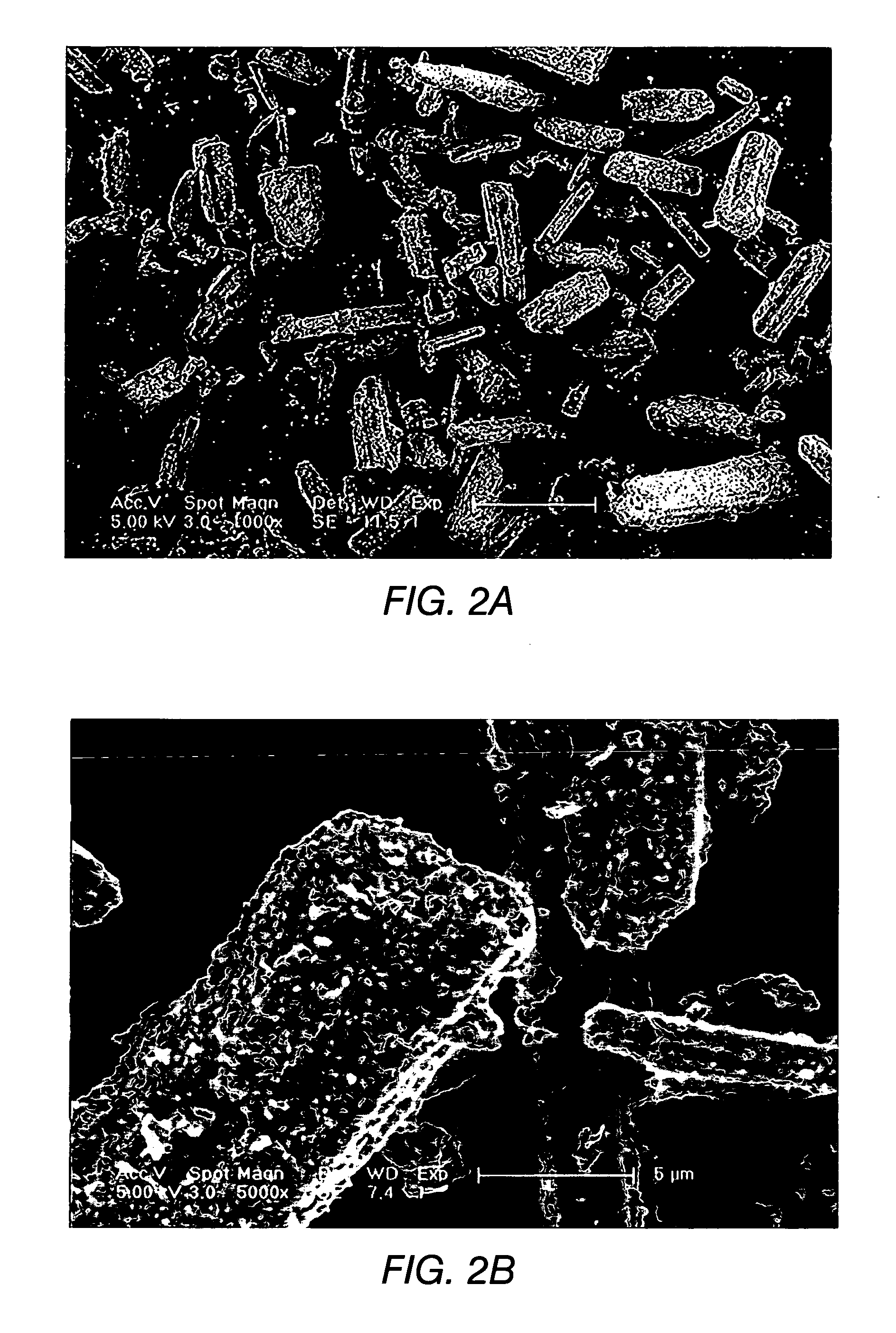 Sintered magnesium oxide, and plasma display panel prepared therefrom