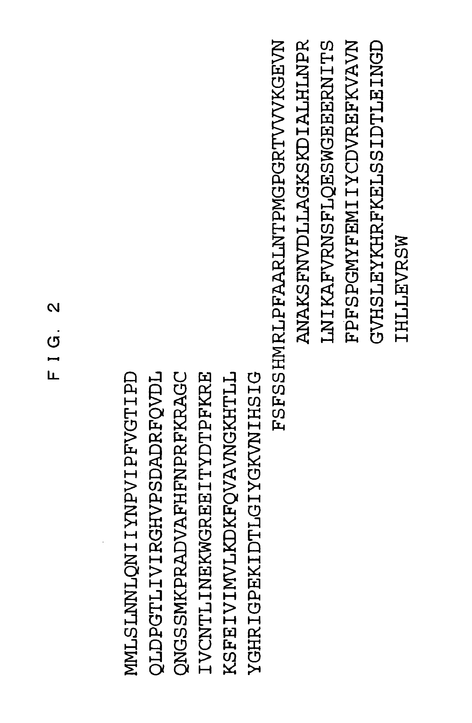 Novel Modified Galectin 8 Proteins and Use Thereof