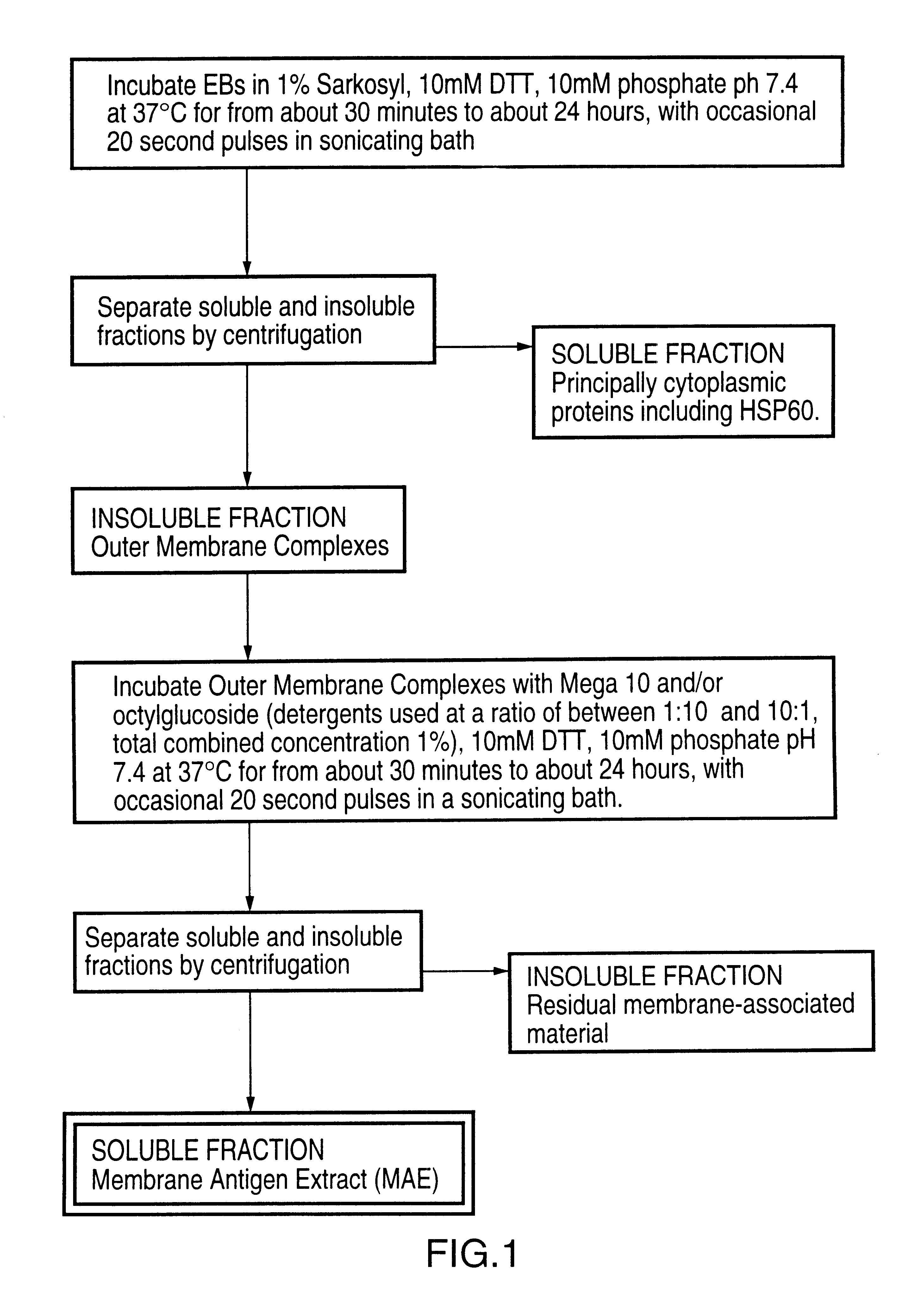 Chlamydial vaccines and methods of preparation thereof