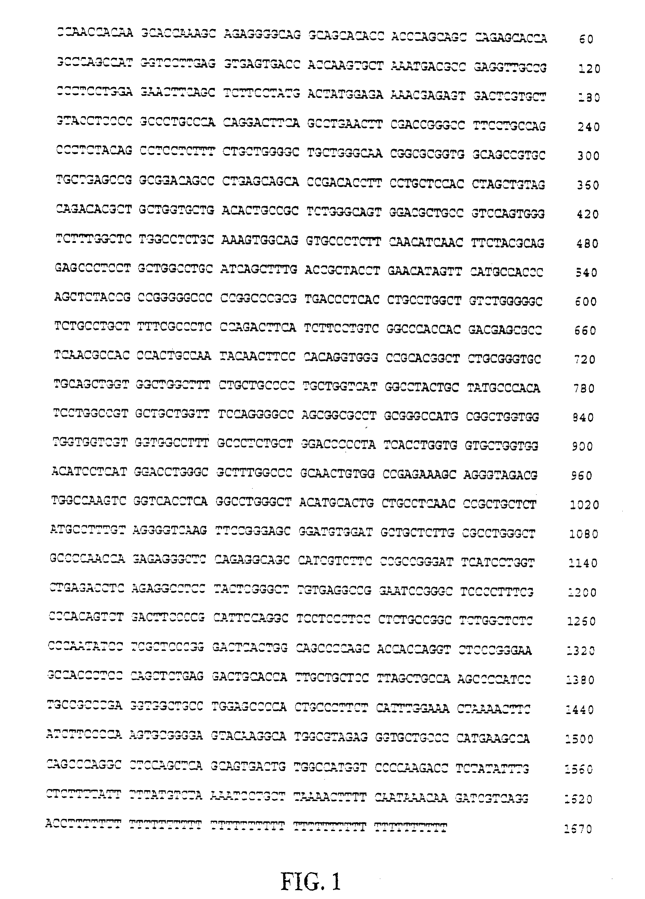 Method of inhibiting leukocytes with human cxc chemokine receptor 3 antibody