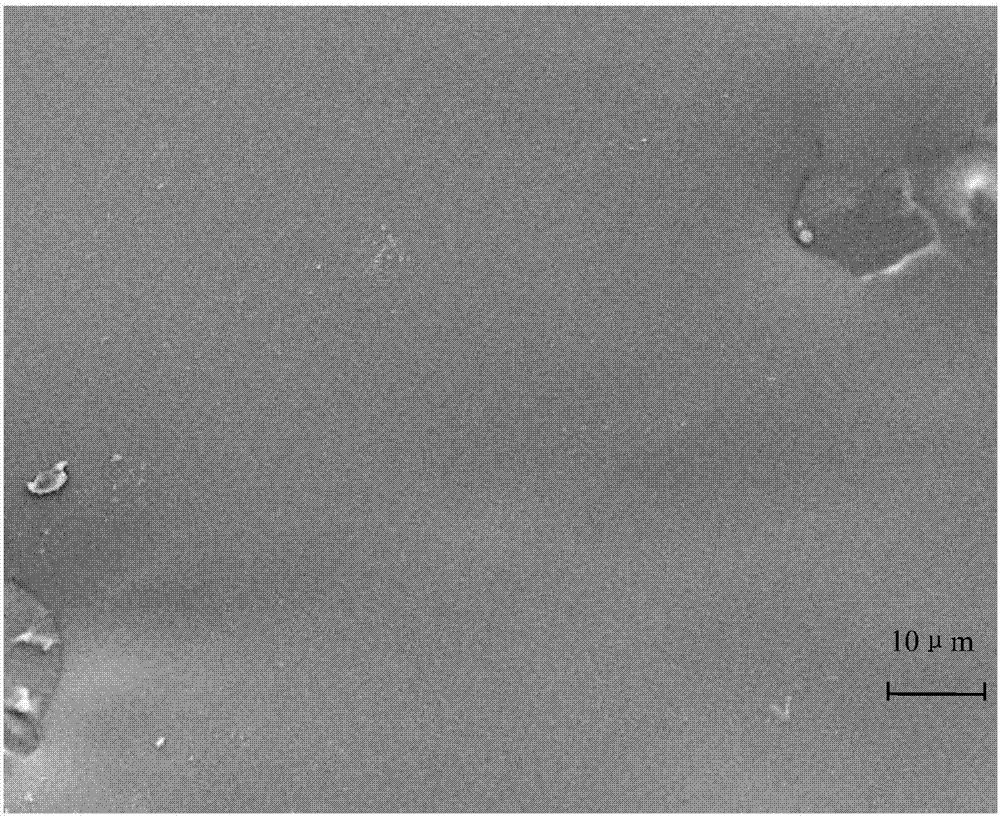 Method for improving high temperature oxidation resistance of titanium-based alloy on basis of halide effect and ceramic coating obtained through pretreatment