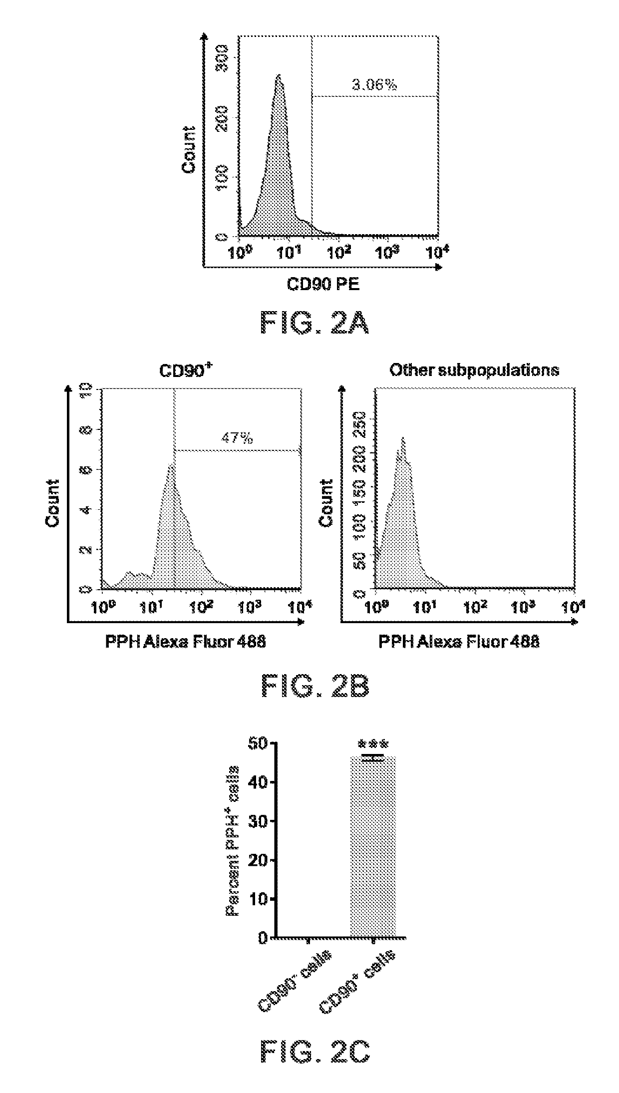 A novel invadopodia-specific marker of invasive cancer stem cells and the use thereof
