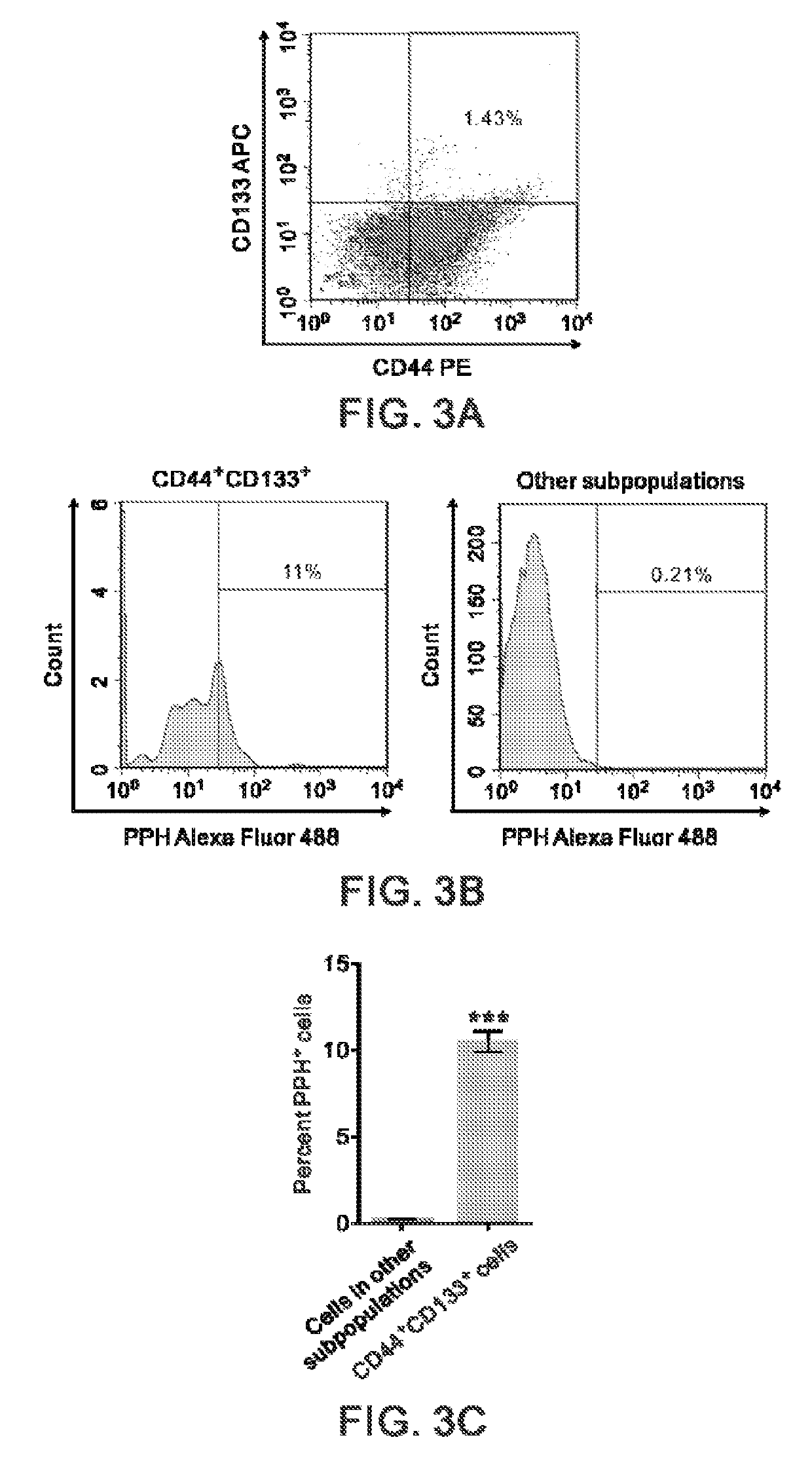 A novel invadopodia-specific marker of invasive cancer stem cells and the use thereof