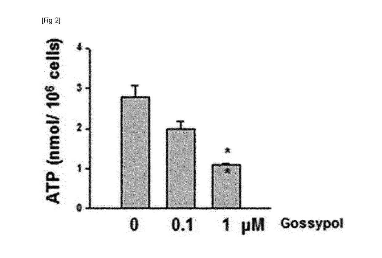 Pharmaceutical composition for cancer treatment containing gossypol and phenformin as active ingredients