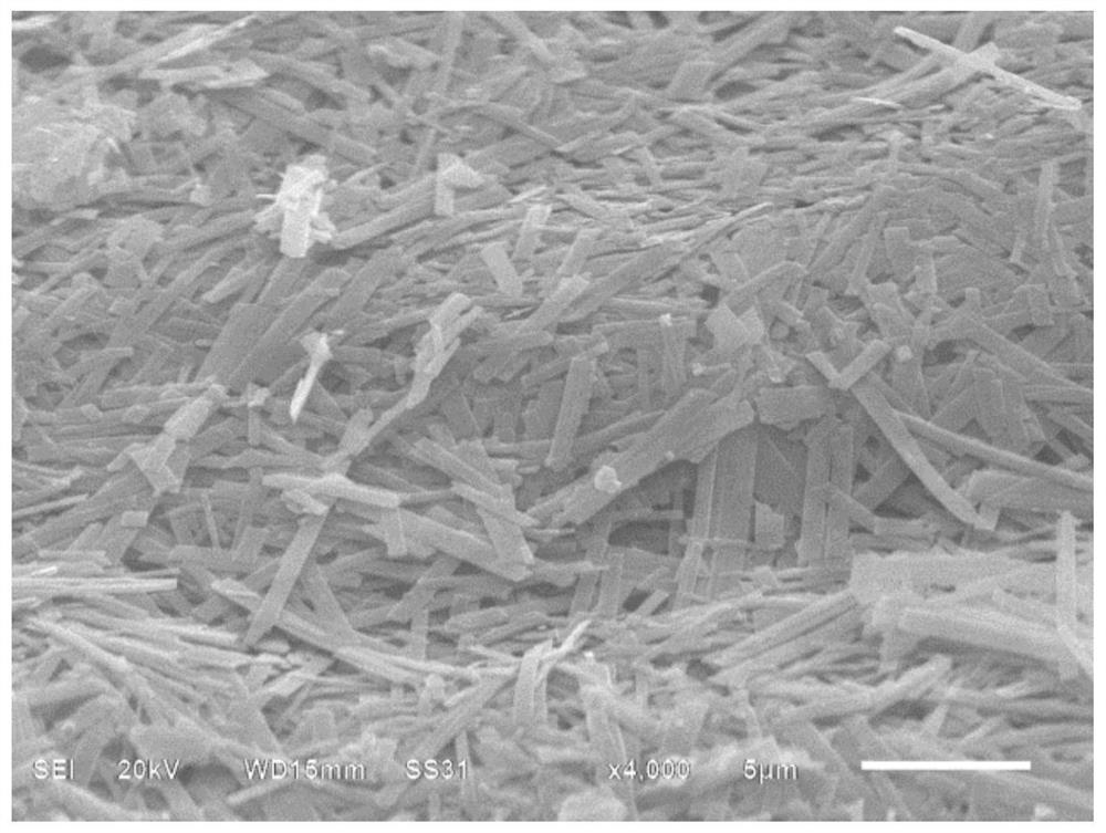 Preparation method of vanadium oxide nanobelt/nickel foam composite self-supporting electrode material