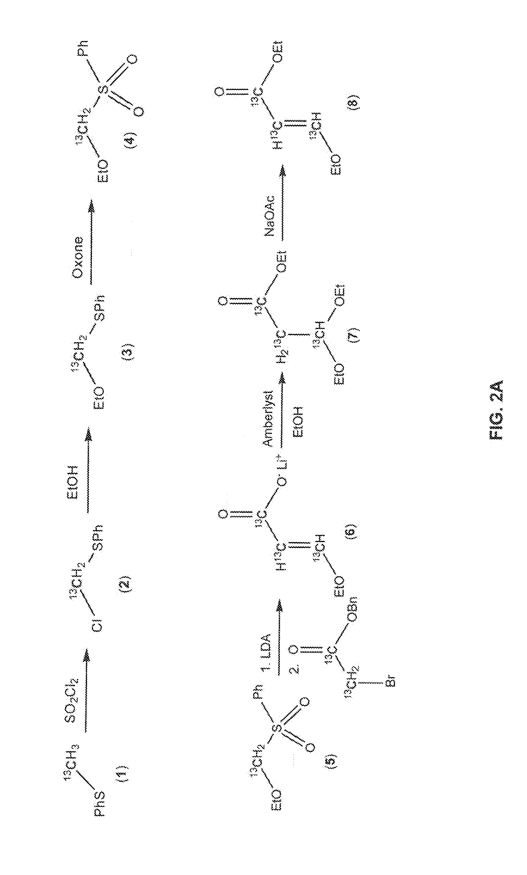Synthesis of isotopically-labeled functionalized dienes