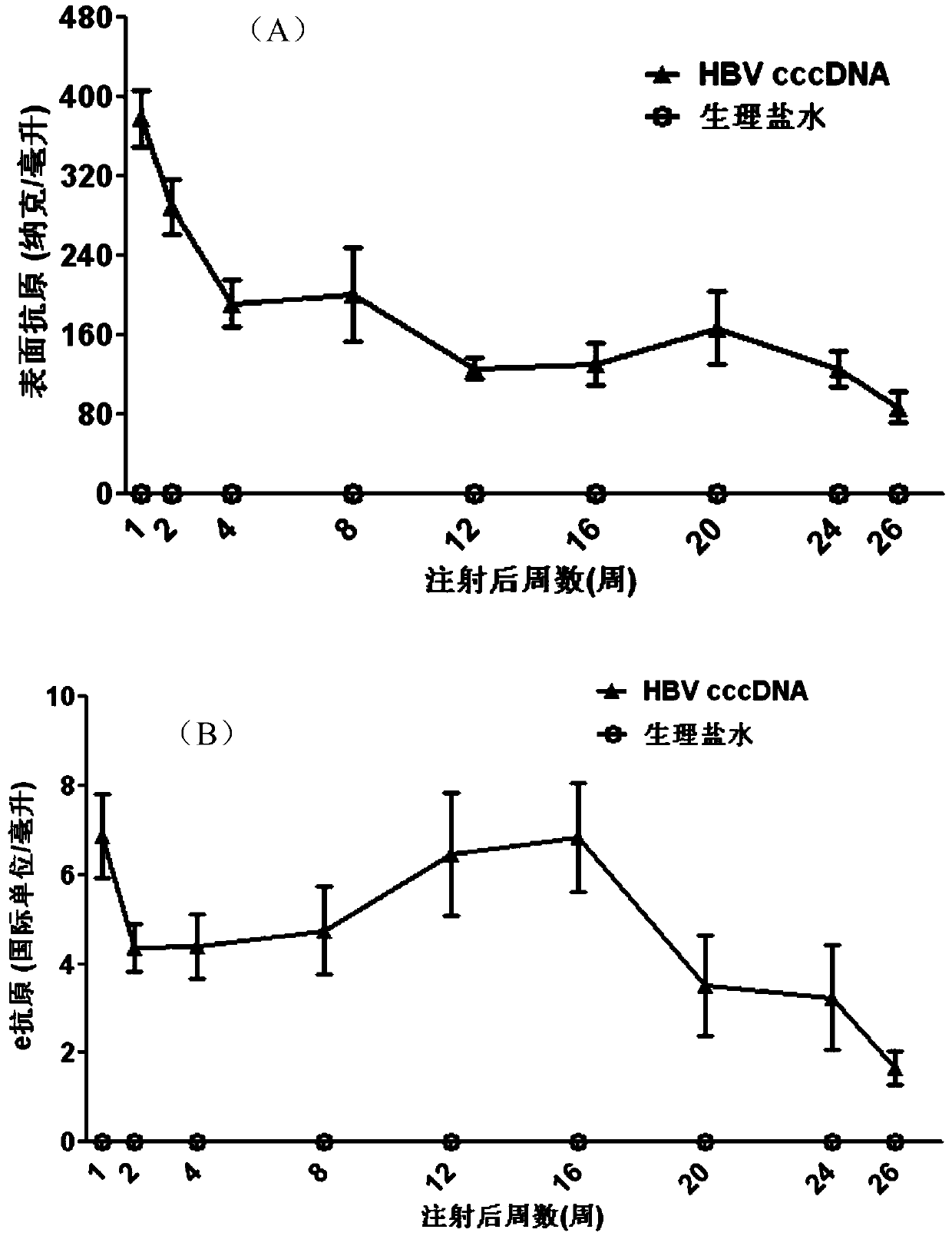 Method for constructing experimental animal model carrying hepatitis B virus for a long time