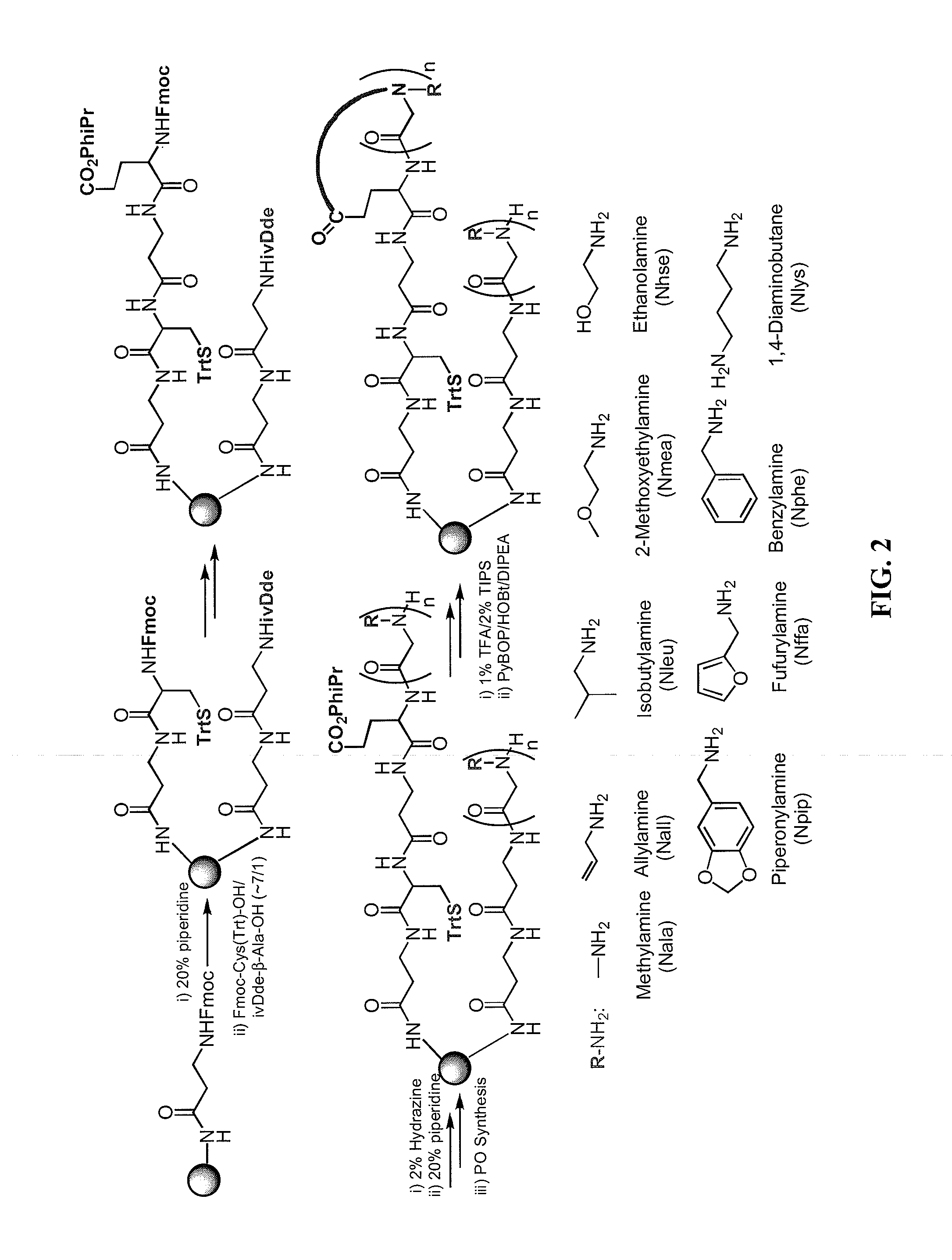 Compositions and methods for producing coded peptoid libraries