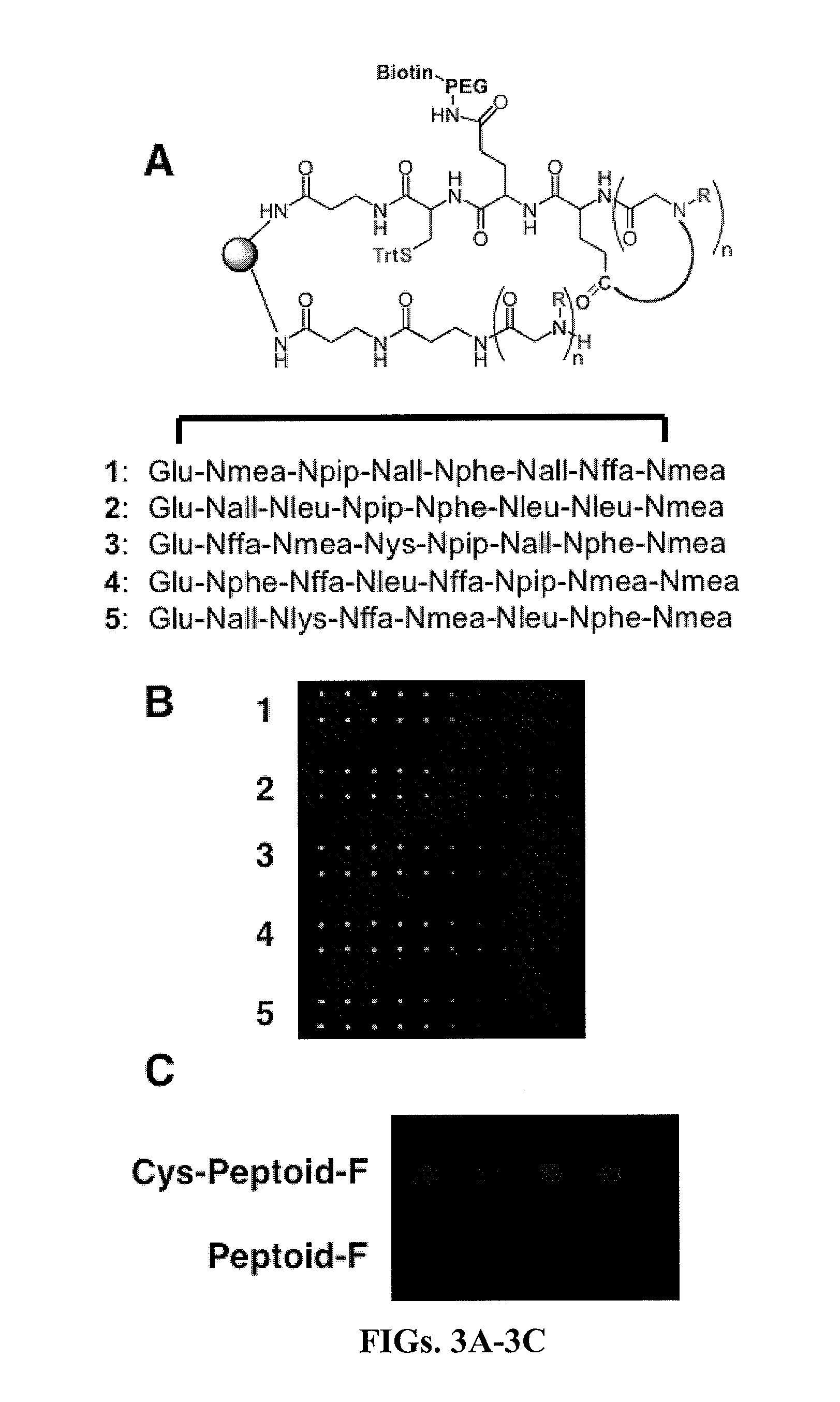 Compositions and methods for producing coded peptoid libraries