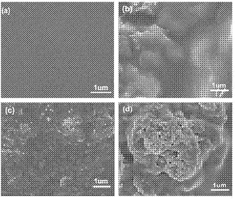 Cellulose improved moisture-permeable barrier composite film and preparation method thereof