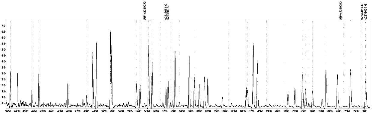 Method for determination of individualized medication of lacidipine through mass spectrography using detection products