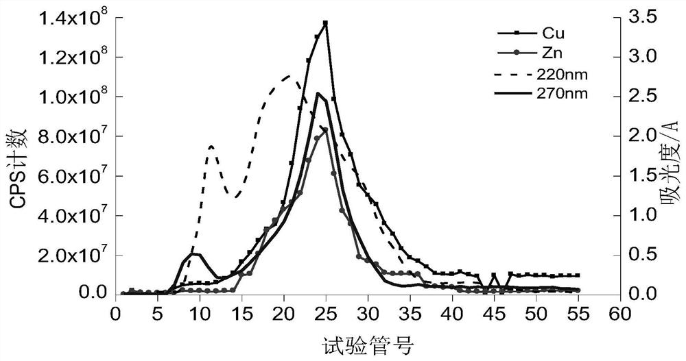 A method for extracting high-purity metallothionein from mantis shrimp