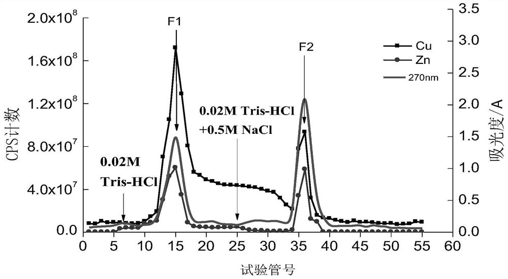 A method for extracting high-purity metallothionein from mantis shrimp