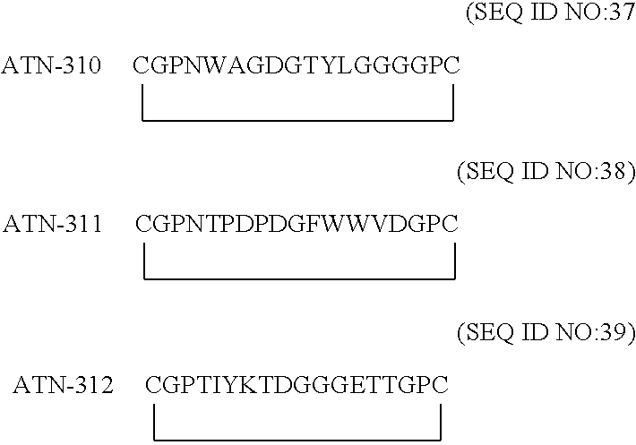 Cell surface tropomyosin as a target of angiogenesis inhibition