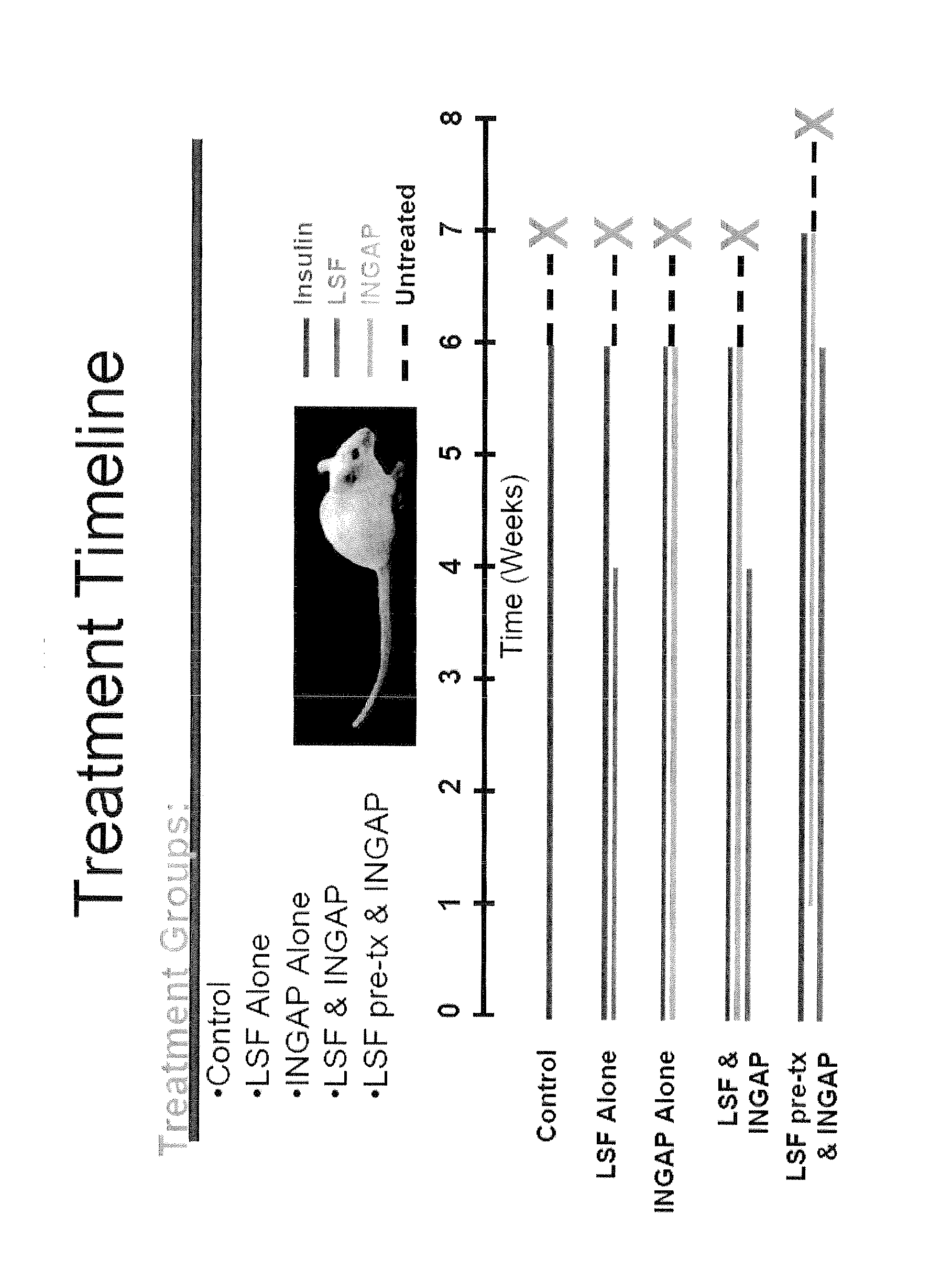 Compositions and methods for treating diabetes using lisofylline and islet neogenesis associated peptide