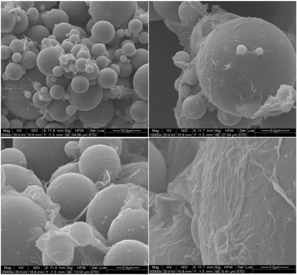 Method for preparing modified micro particles coated with graphene oxide