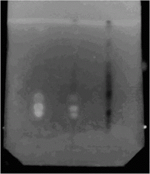 Method for detecting rhizoma coptidis in powder with effects of clearing acute communicable diseases and counteracting toxin