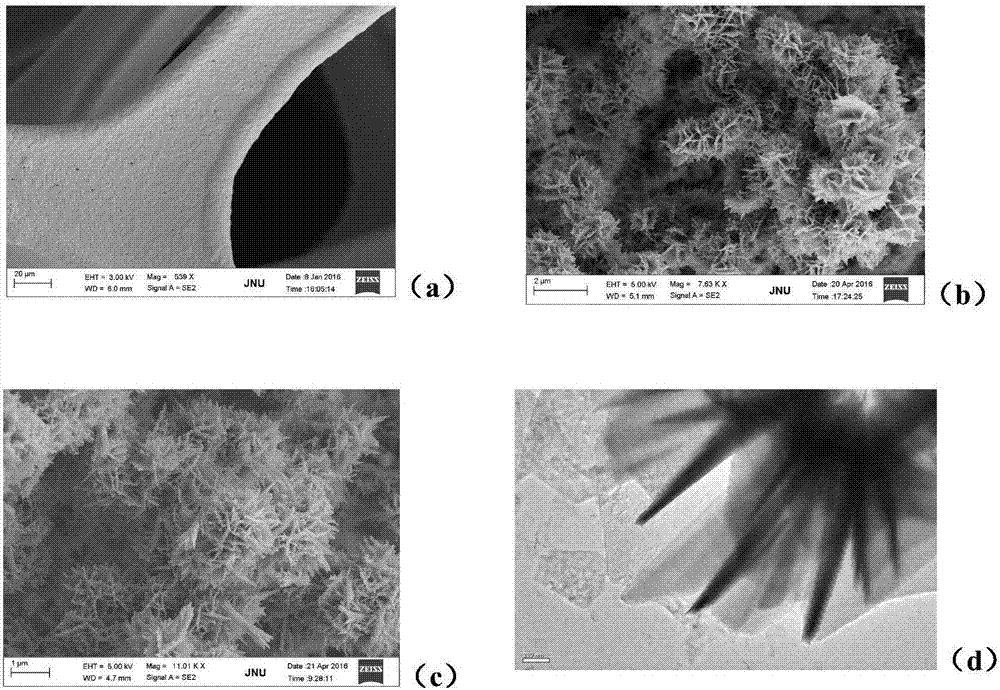Preparation method of nano-flower-like cobalt-nickel phosphate growing on foam nickel