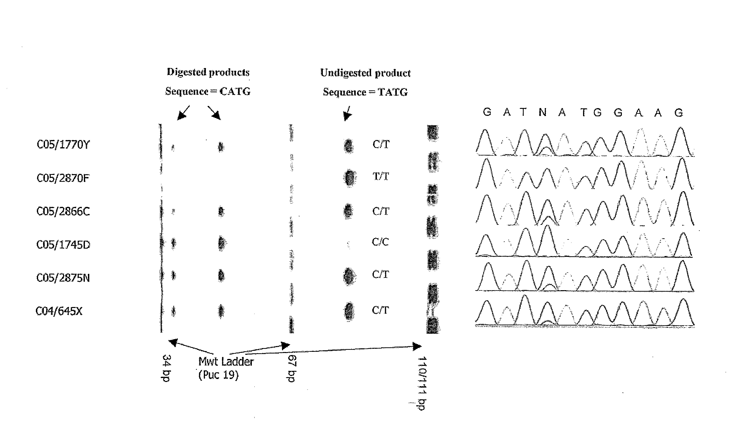 Identification of ancestral haplotypes and uses thereof