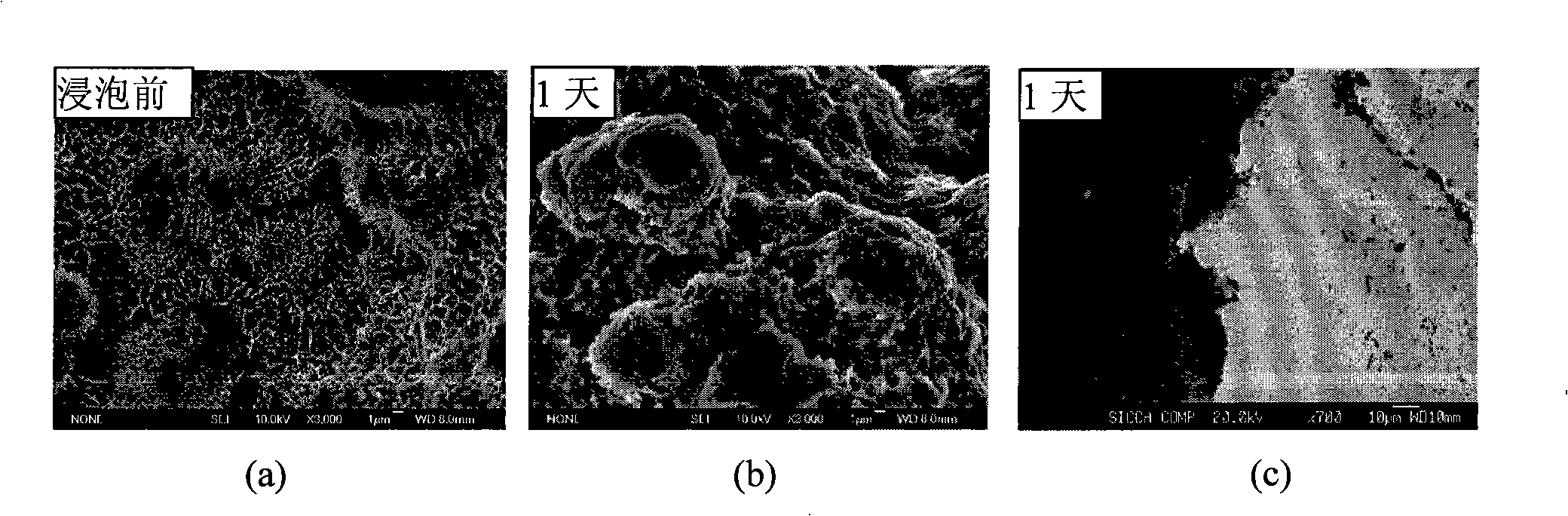 Activation method for quickly generating phosphatic rock on titanium coating surface