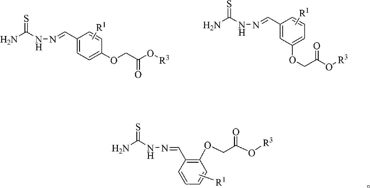 (Thiosemicarbazideformyl) phenoxyacetic acid derivative and application thereof