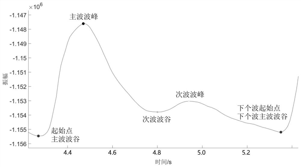 Pulse wave model prediction method based on neural network