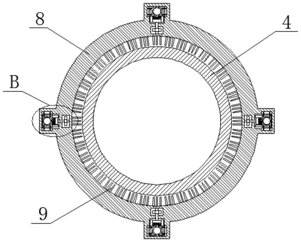 Marine organism model display device