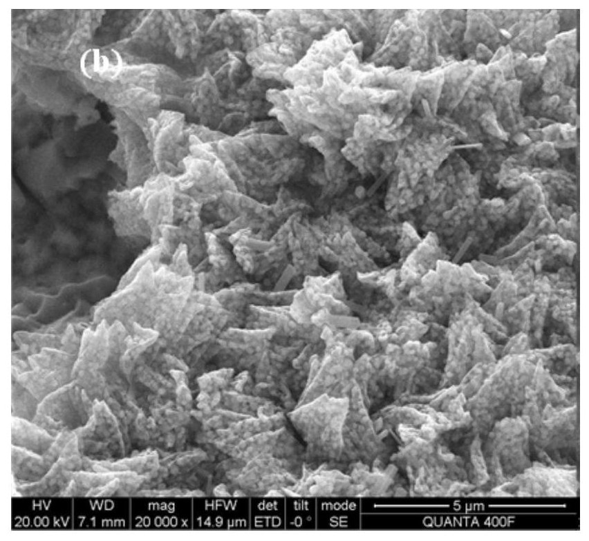 Foamed nickel loaded carbon embedded zero-valent iron cathode, preparation method and antibiotic degradation method