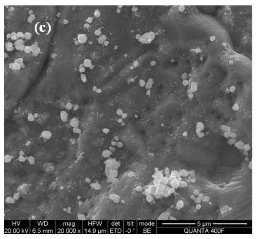 Foamed nickel loaded carbon embedded zero-valent iron cathode, preparation method and antibiotic degradation method