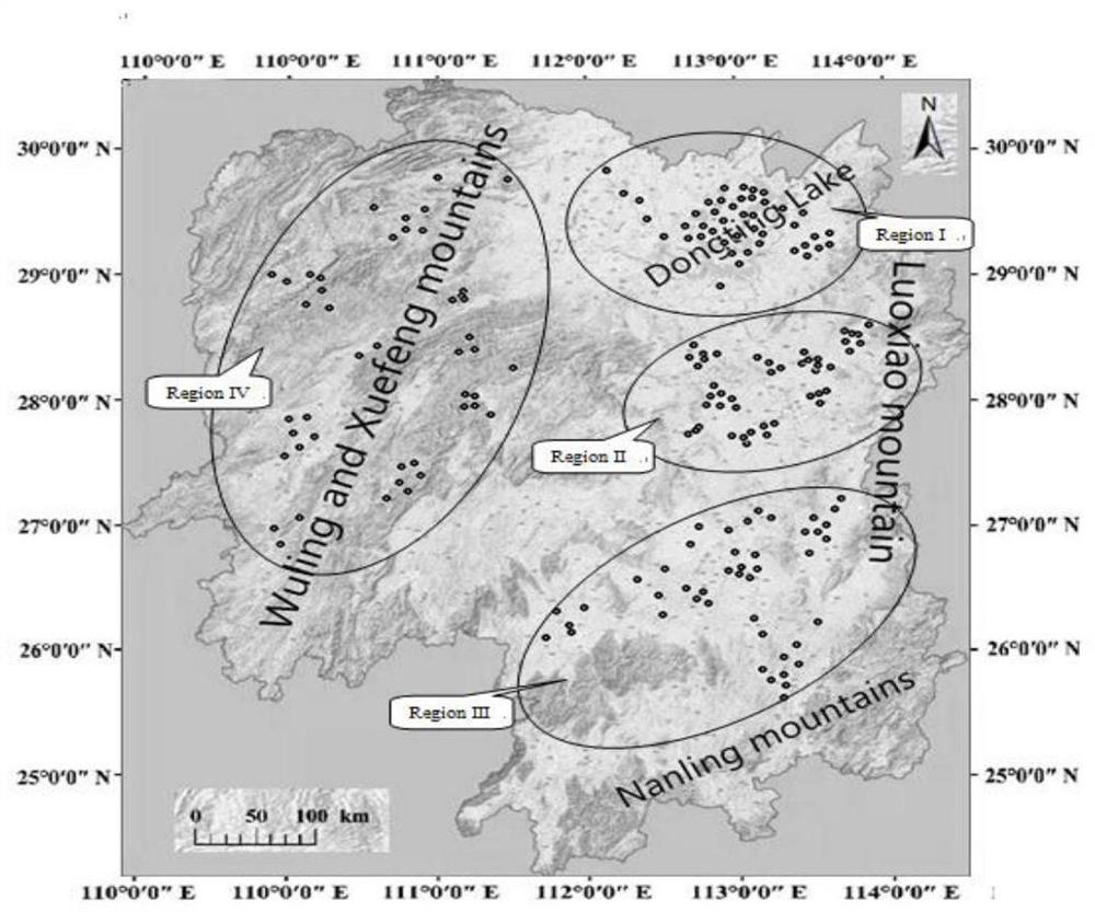 Formula fertilization method for adult Camellia oleifera forest