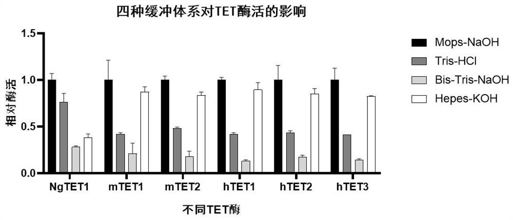 Buffer solution for enhancing activity of TET enzyme