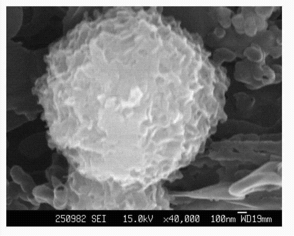 Composite visible-light catalyst for TiO2 microsphere and g-C3N4, as well as preparation method and application of catalyst