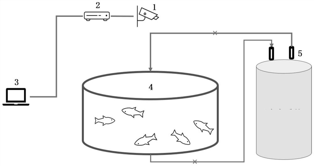 Fish school motion behavior parameter extraction and analysis method under breeding background condition