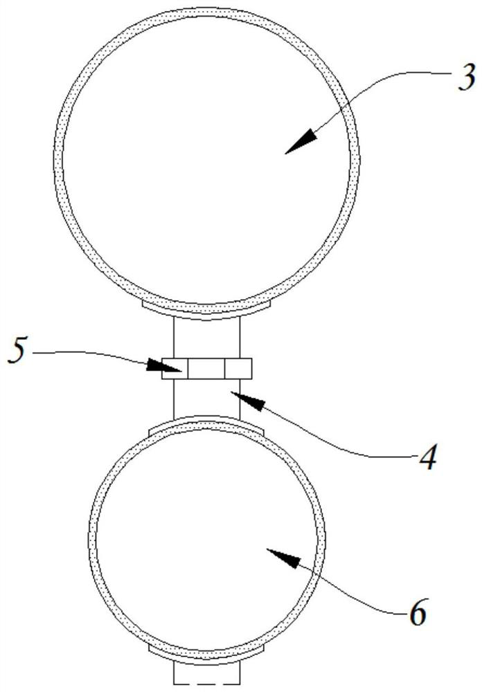 Novel visual pathogen nucleic acid rapid detection chip