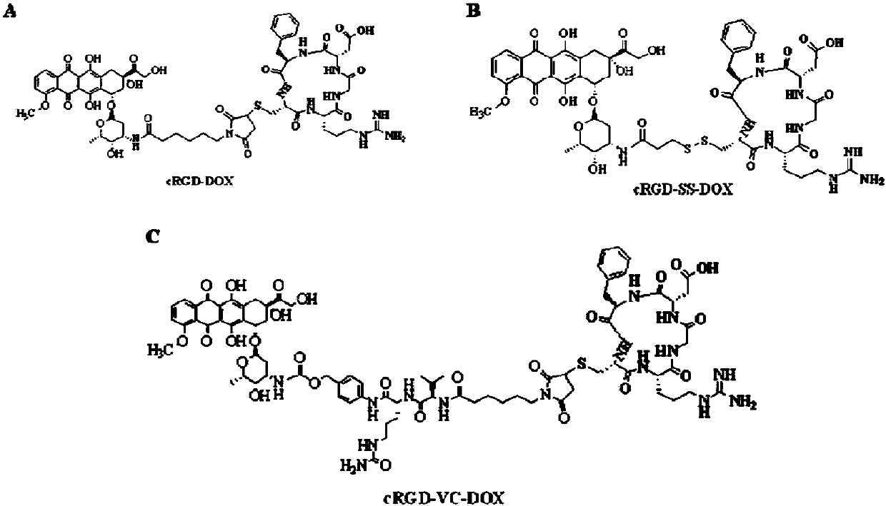 Micromolecular conjugate based on RGD polypeptide-chemotherapy drug and nanometer prodrug system thereof