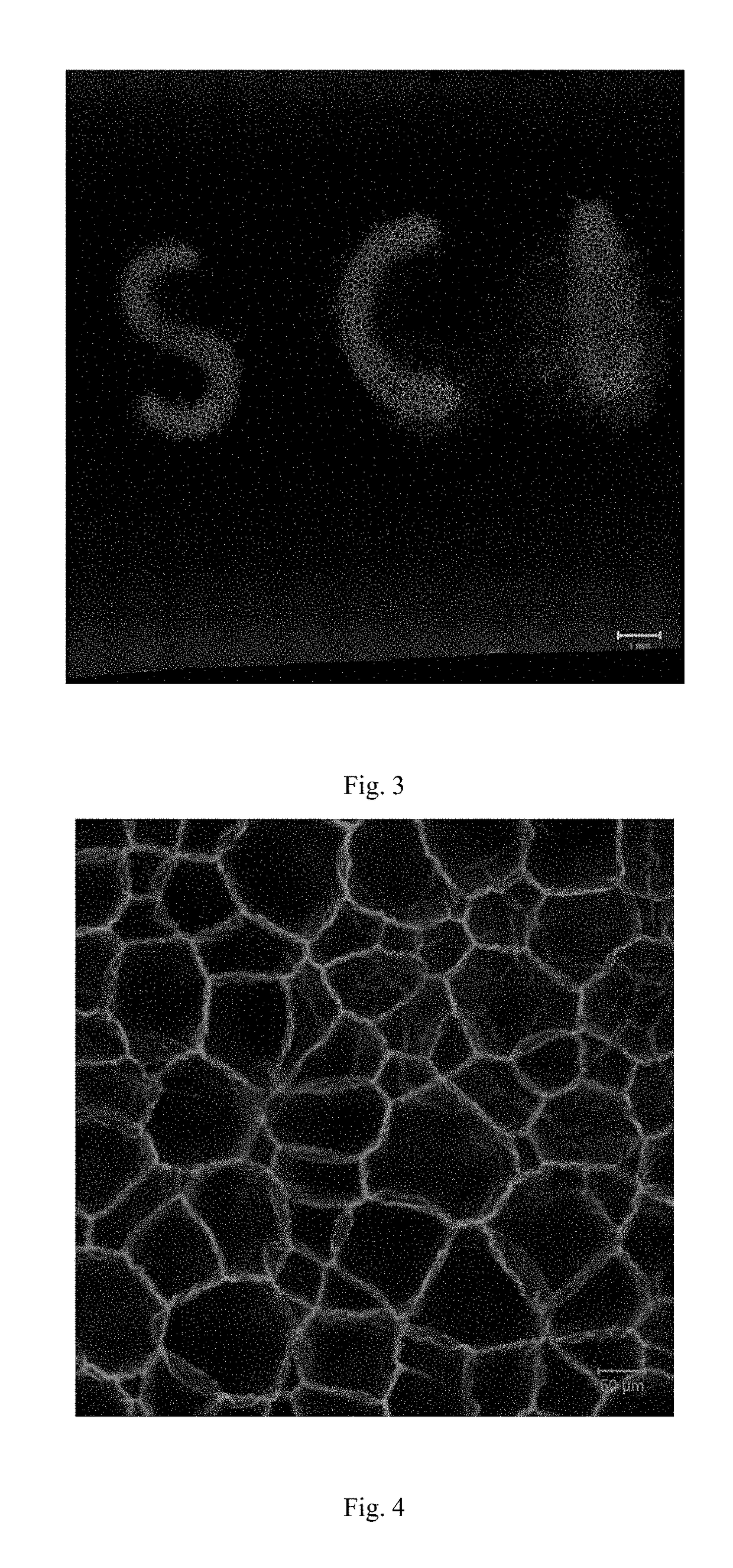 Method for preparing porous hydrogel through freezing-illumination