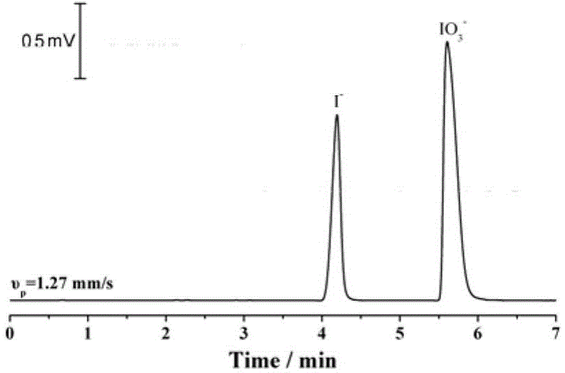Capillary electrophoresis analysis system utilizing micro-injection pump to drive liquid flows