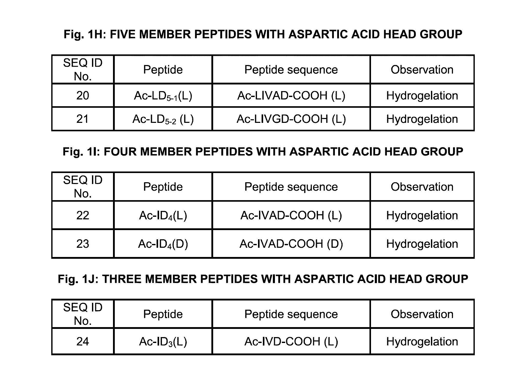 Amphiphilic linear peptidepeptoid and hydrogel comprising the same