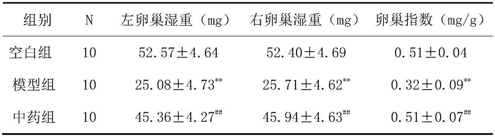 Traditional Chinese medicine composition for treating hypoovarian reserve function and application thereof