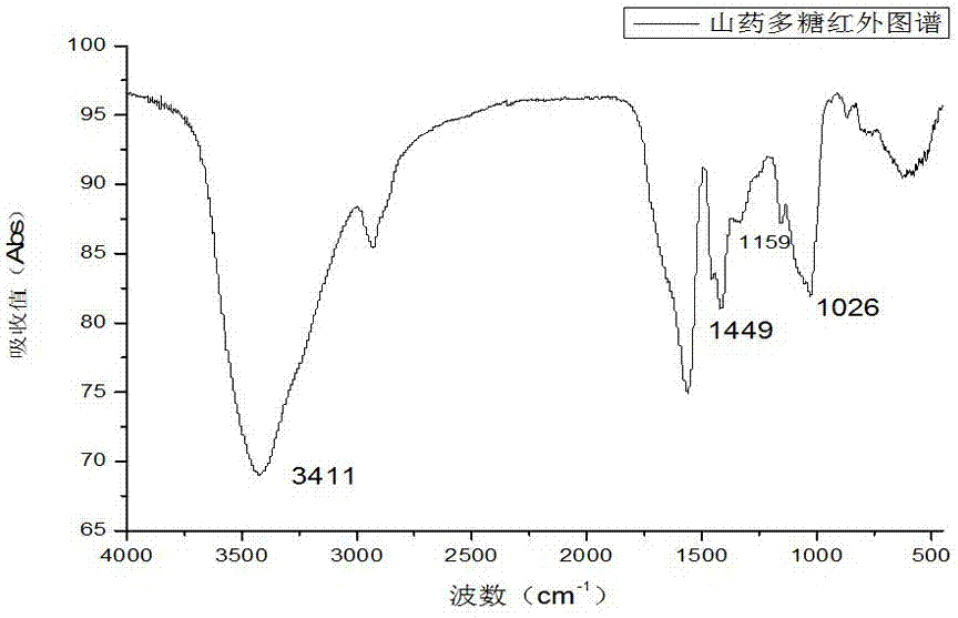 Preparation method and application of Chinese yam polysaccharide-chromium complex