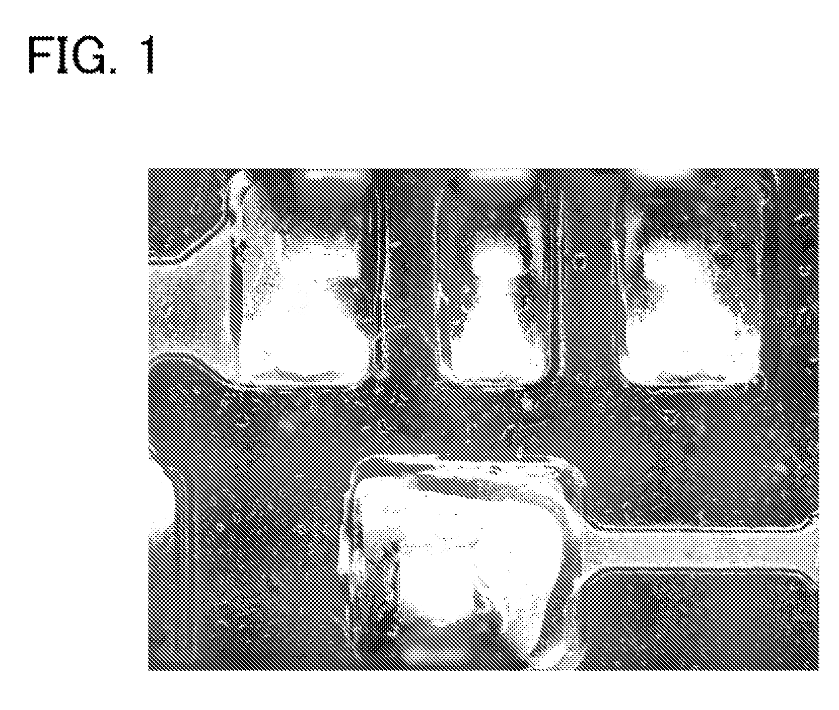 Magnification Observation Apparatus and Method For Photographing Magnified Image