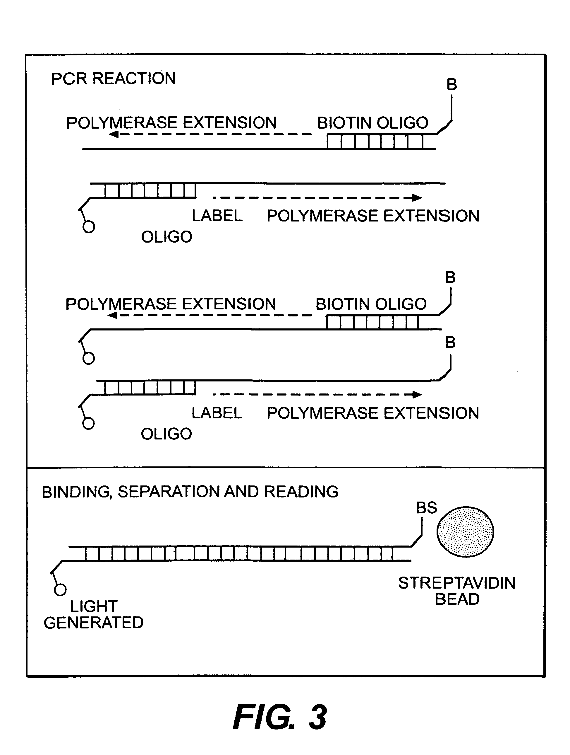 Methods and apparatus for improved luminescence assays