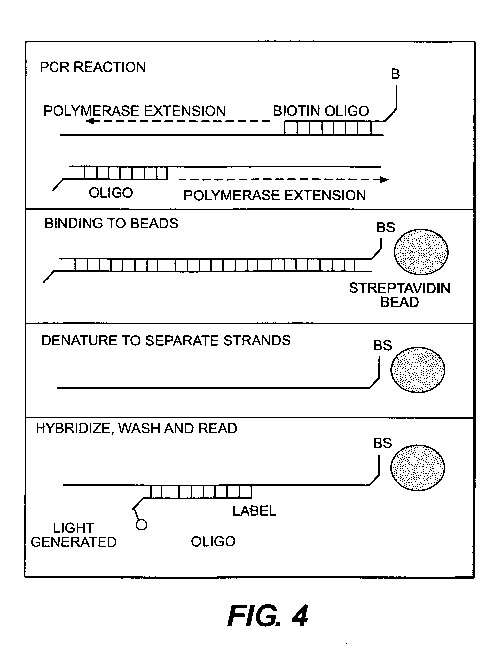 Methods and apparatus for improved luminescence assays