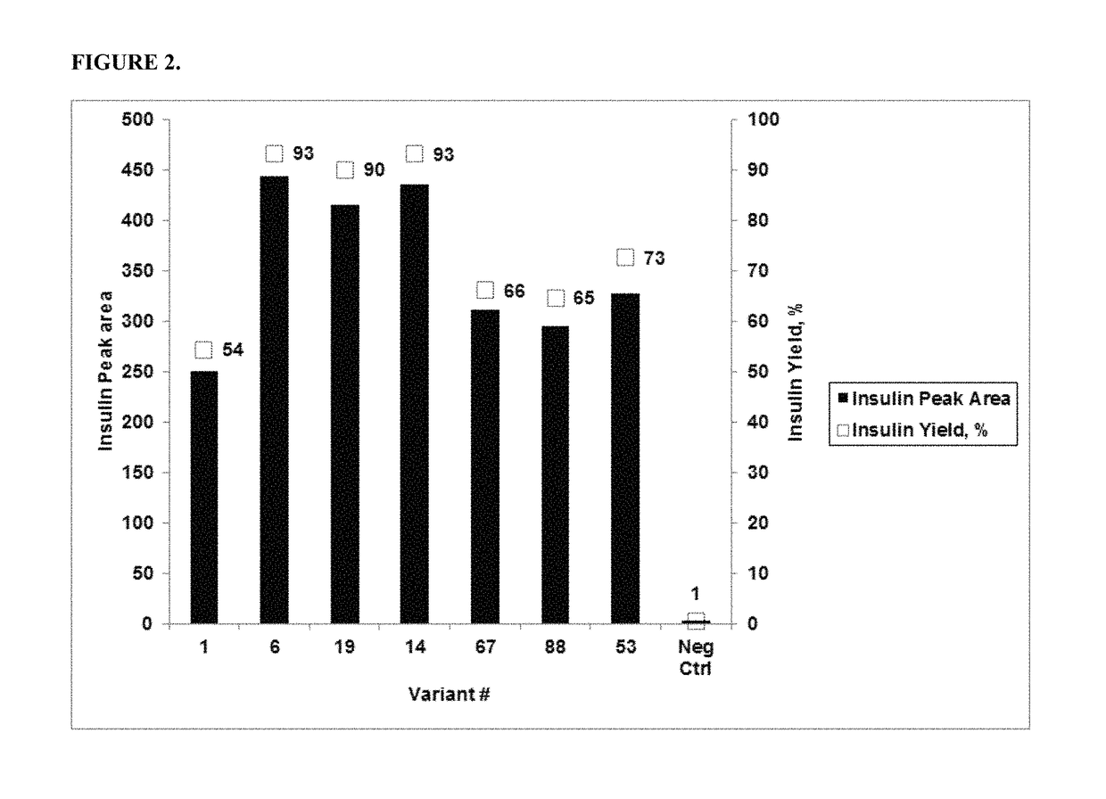 Penicillin-G acylases