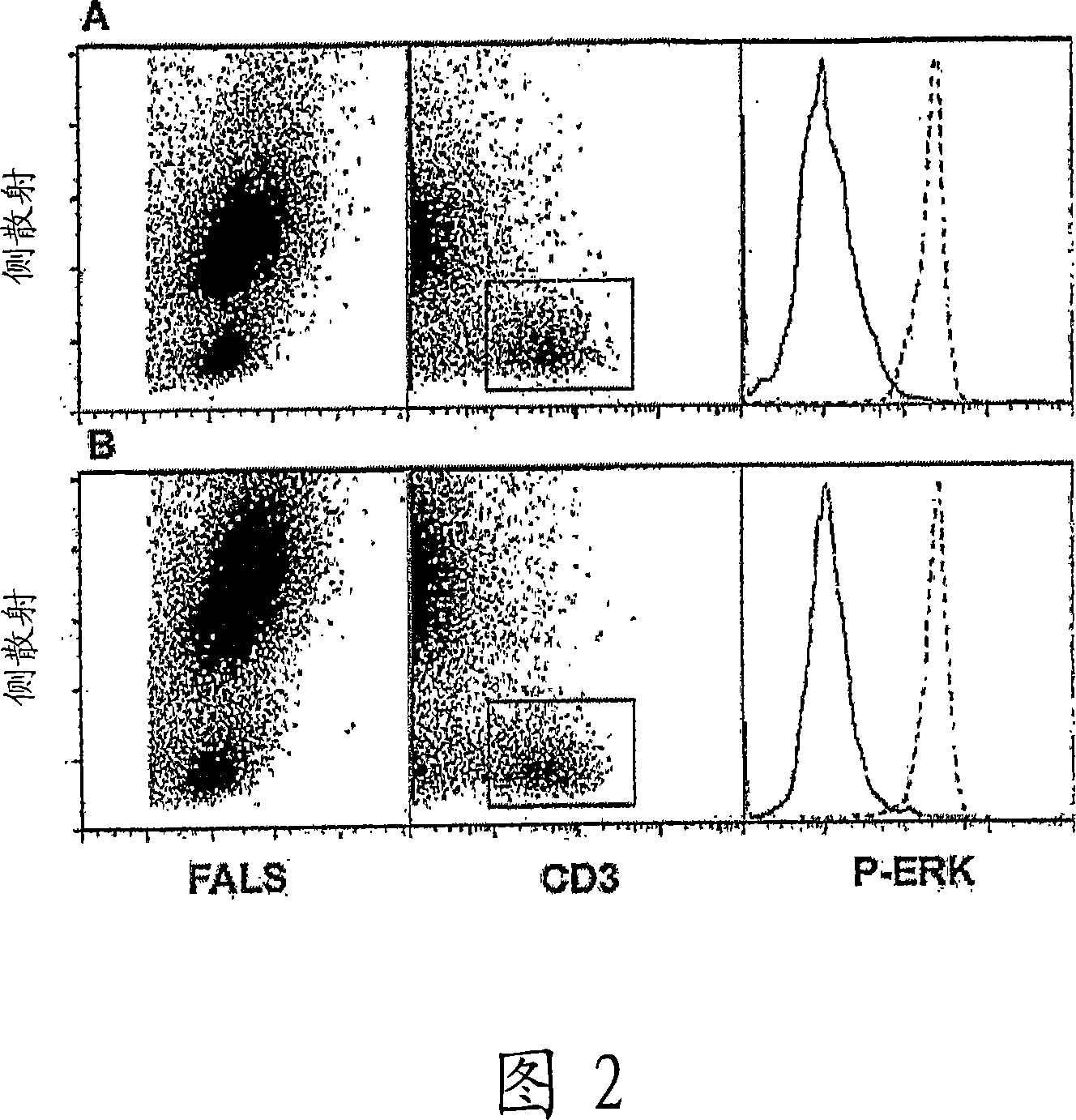 Whole blood preparation for cytometric analysis of cell signaling pathways