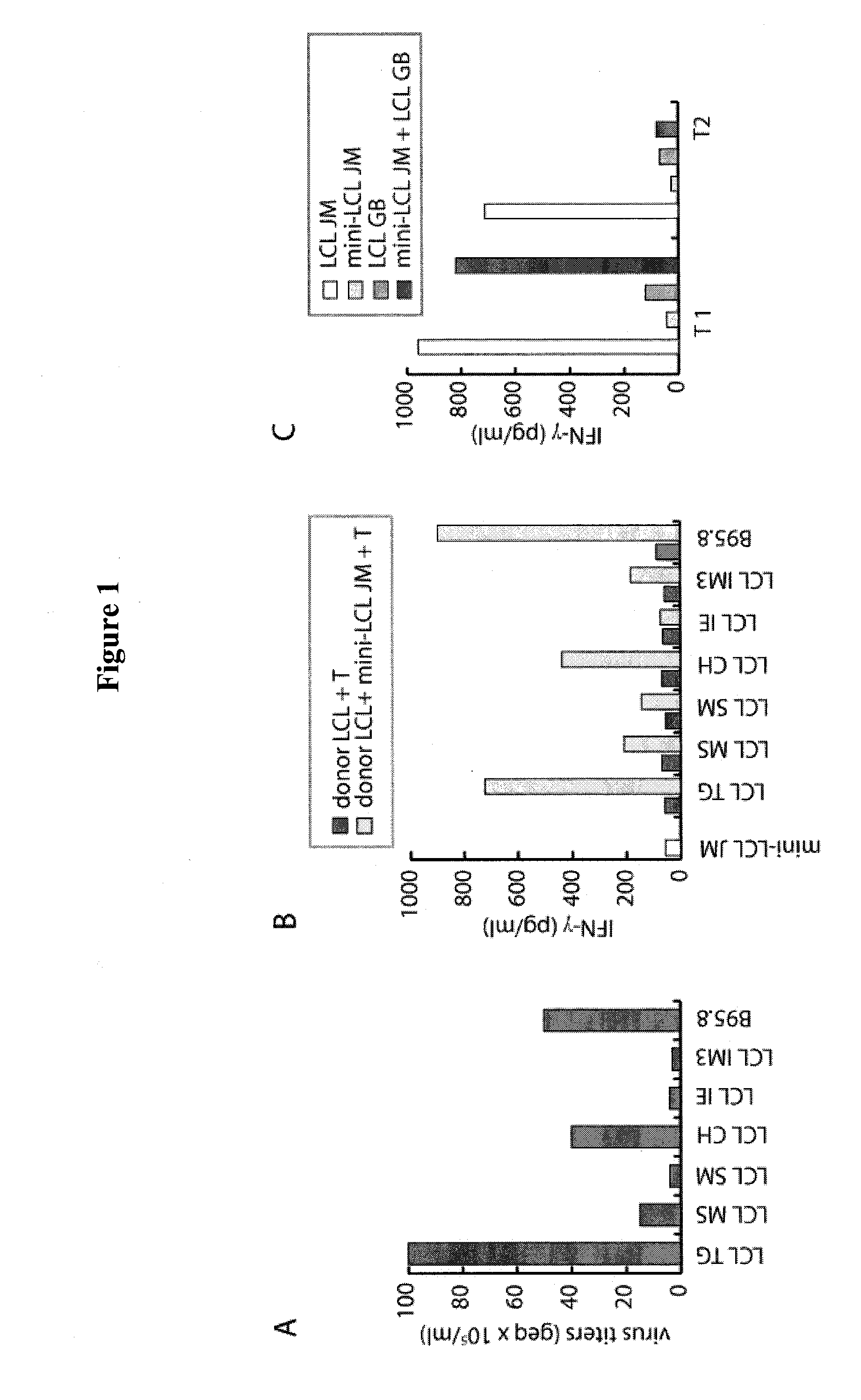 Ex vivo method for producing a preparation containing cd4+ t cells specific for ebv structural antigens